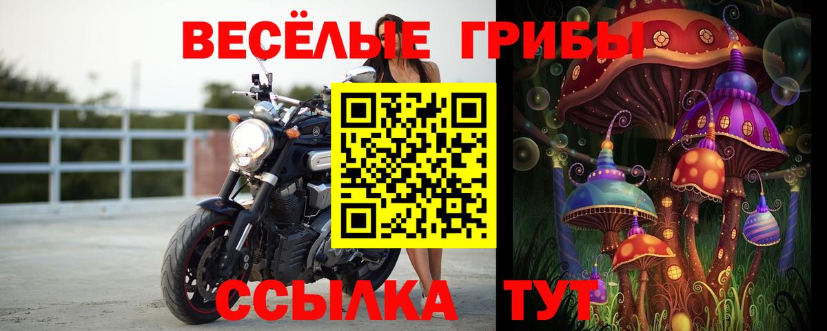Арсеньев  Галлюциногенные грибы Cubensis  Вход с VPN 